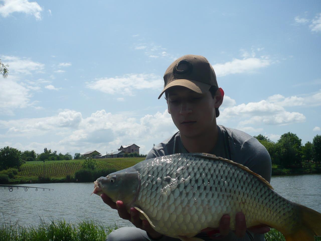 MV2 - 06.IUN.2014 - p1020446.JPG